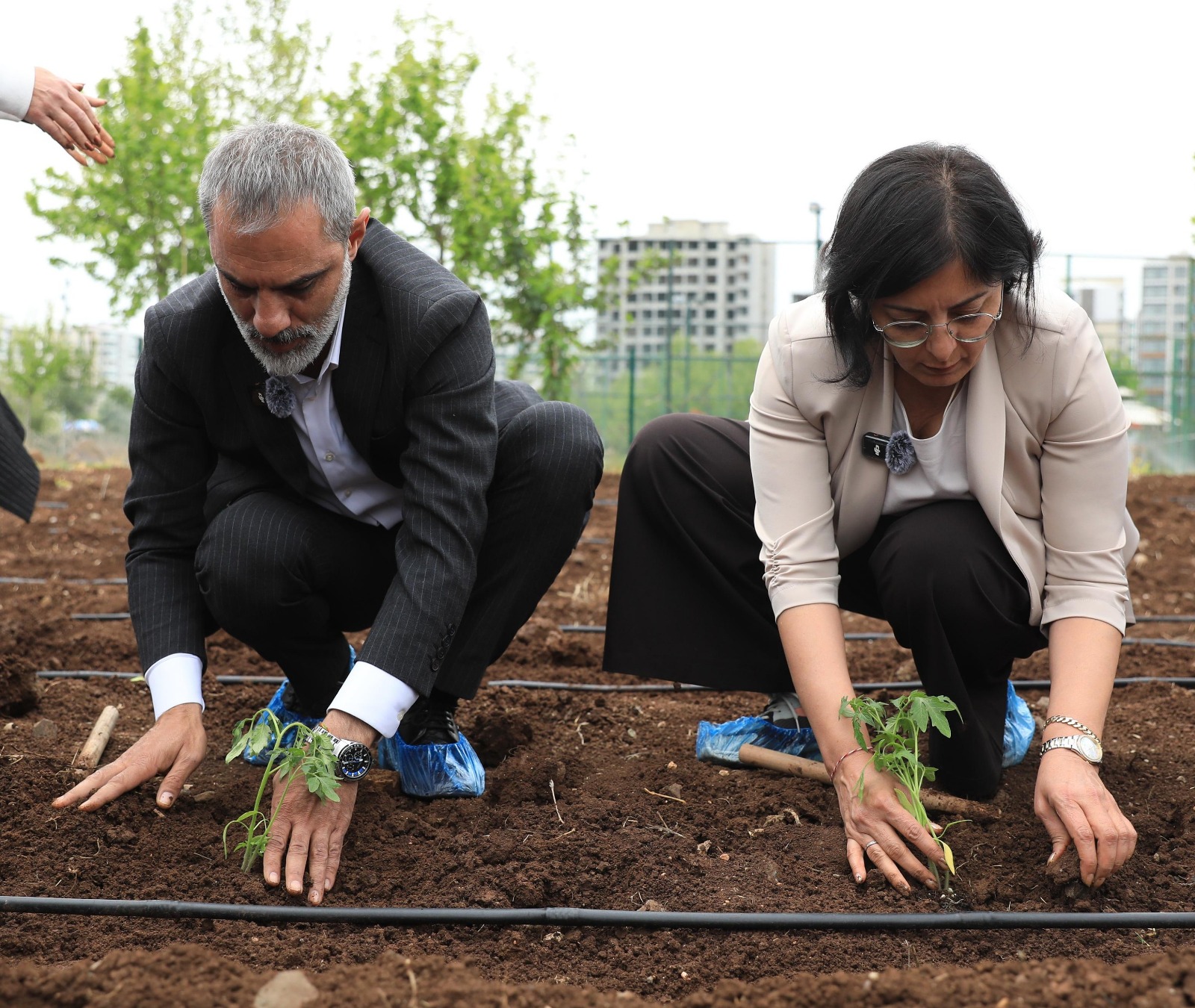 Kayapınar Belediyesi’nden yerel tohum projesi