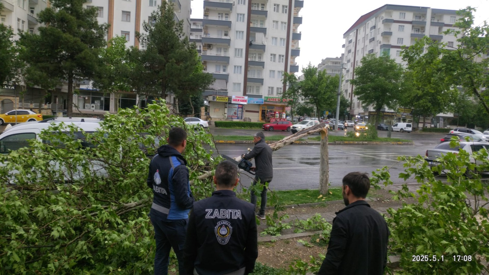 Kayapınar’da 100 ağaç fırtına sebebiyle kırıldı