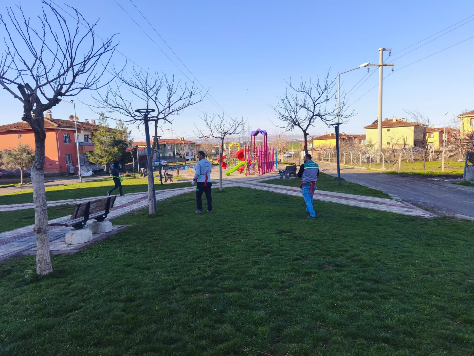 Kayapınar Belediyesi paklardaki çimleri bakıma aldı 