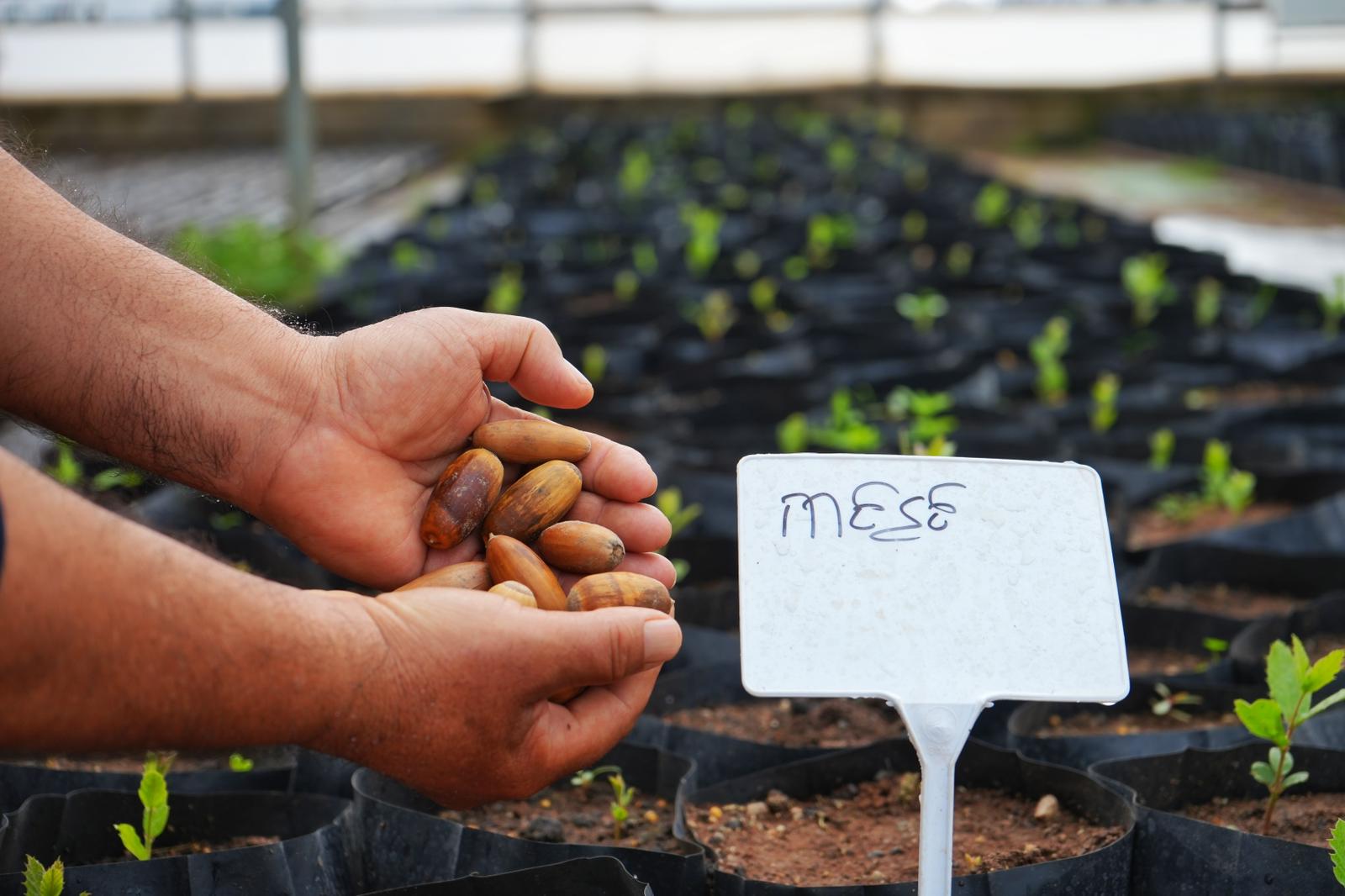 Kayapınar Belediyesi’nden Çiyayê Mazî’yi kızkandıracak proje 
