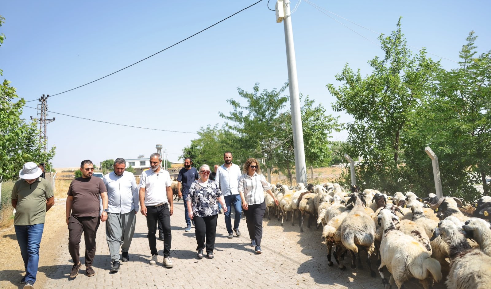 Kayapınar Belediyesi’nden köylerde çalışma 