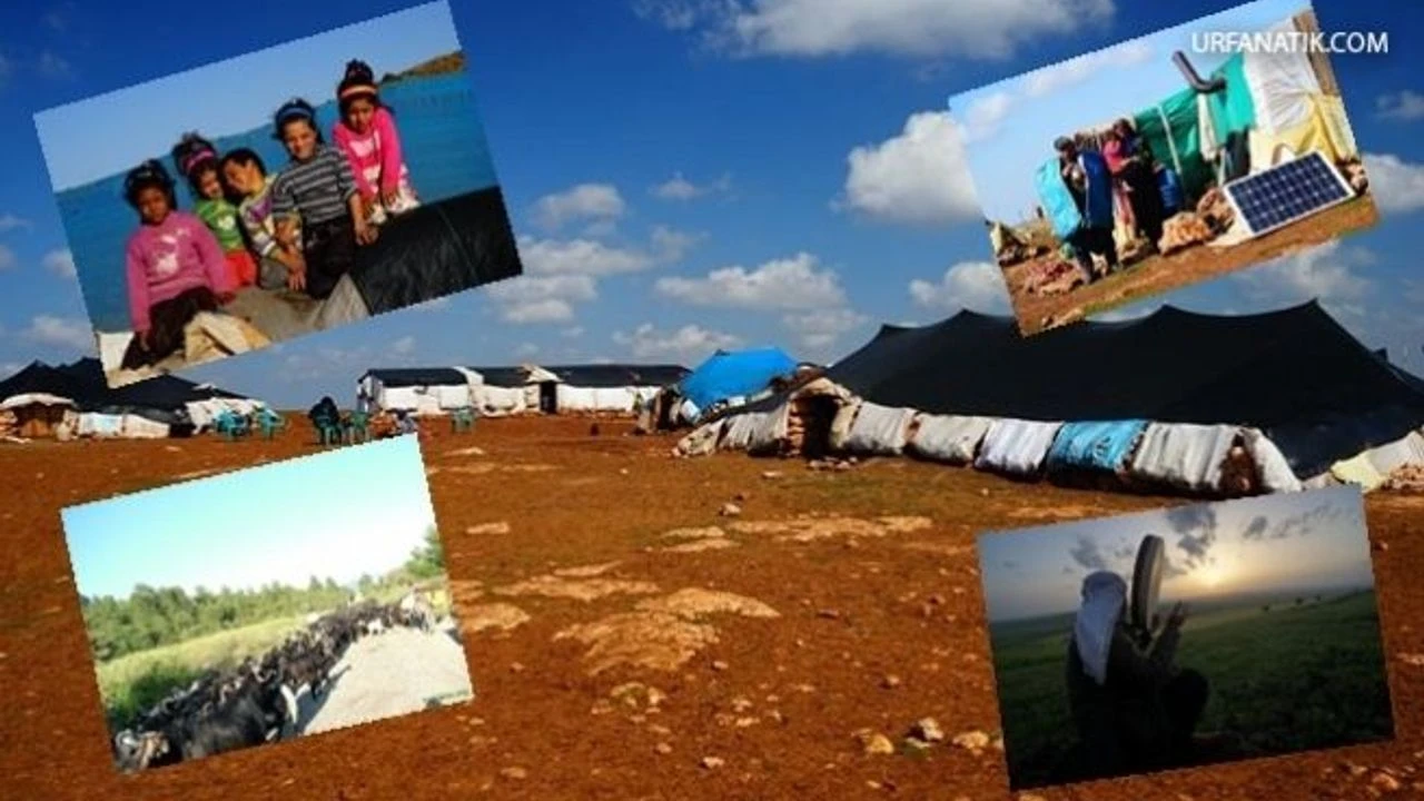 Kültürel Zenginlik