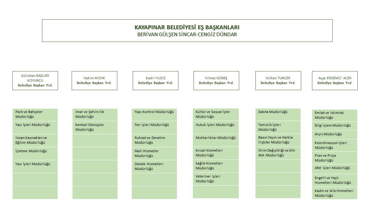 organizasyon şeması-pptx